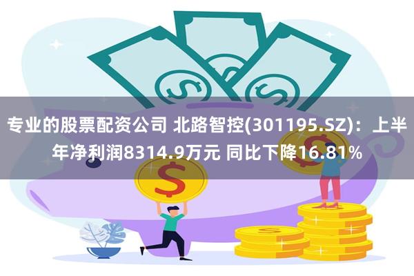 专业的股票配资公司 北路智控(301195.SZ)：上半年净利润8314.9万元 同比下降16.81%