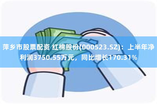 萍乡市股票配资 红棉股份(000523.SZ)：上半年净利润3750.55万元，同比增长170.31%