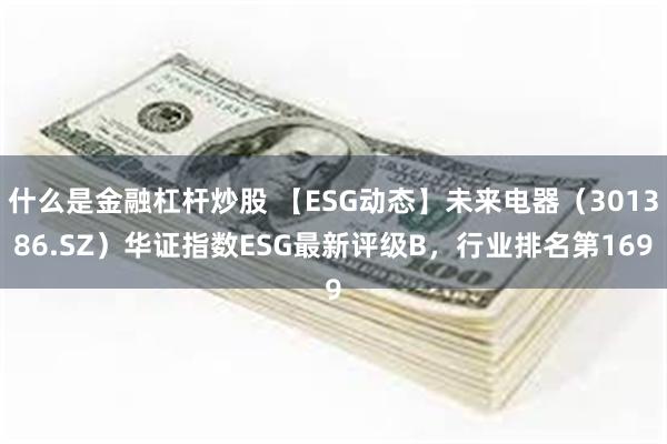 什么是金融杠杆炒股 【ESG动态】未来电器（301386.SZ）华证指数ESG最新评级B，行业排名第169