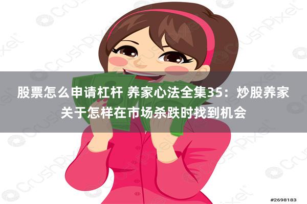 股票怎么申请杠杆 养家心法全集35：炒股养家关于怎样在市场杀跌时找到机会