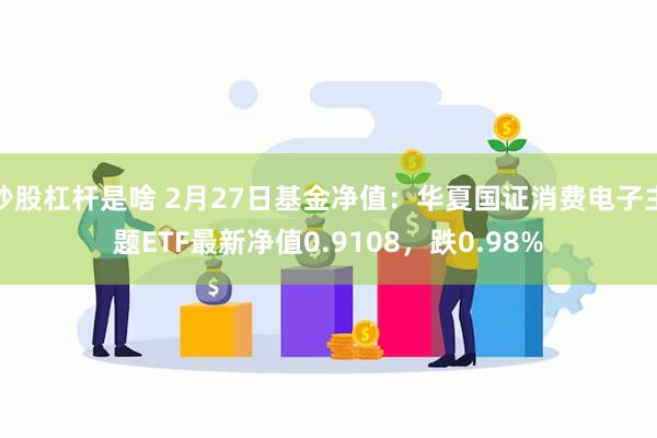 炒股杠杆是啥 2月27日基金净值：华夏国证消费电子主题ETF最新净值0.9108，跌0.98%