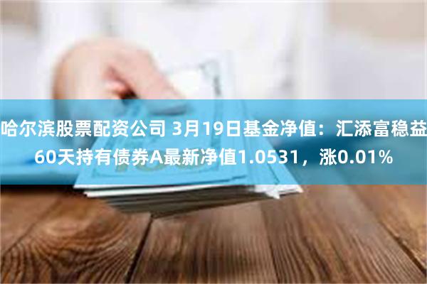 哈尔滨股票配资公司 3月19日基金净值：汇添富稳益60天持有债券A最新净值1.0531，涨0.01%