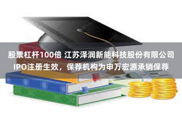 股票杠杆100倍 江苏泽润新能科技股份有限公司IPO注册生效，保荐机构为申万宏源承销保荐
