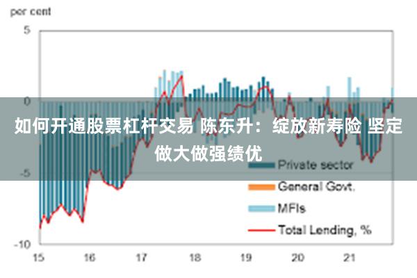 如何开通股票杠杆交易 陈东升：绽放新寿险 坚定做大做强绩优