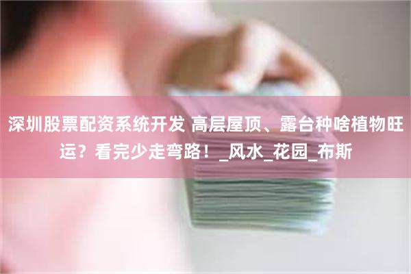 深圳股票配资系统开发 高层屋顶、露台种啥植物旺运？看完少走弯路！_风水_花园_布斯