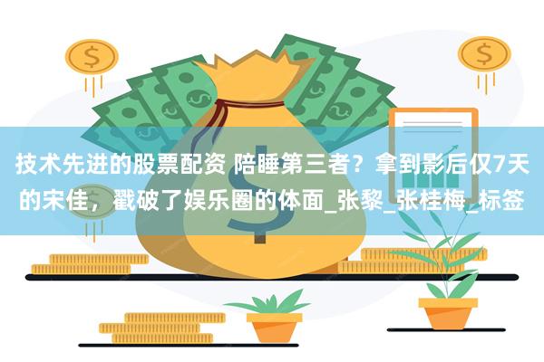 技术先进的股票配资 陪睡第三者？拿到影后仅7天的宋佳，戳破了娱乐圈的体面_张黎_张桂梅_标签