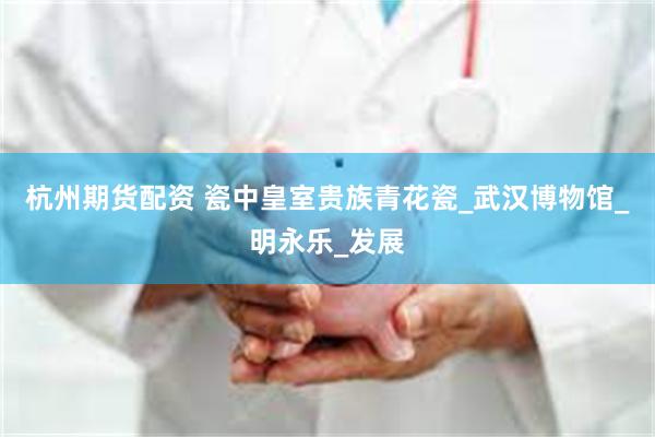 杭州期货配资 瓷中皇室贵族青花瓷_武汉博物馆_明永乐_发展