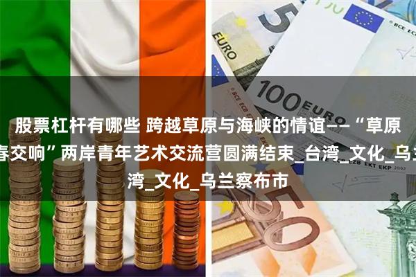 股票杠杆有哪些 跨越草原与海峡的情谊——“草原之约 青春交响”两岸青年艺术交流营圆满结束_台湾_文化_乌兰察布市